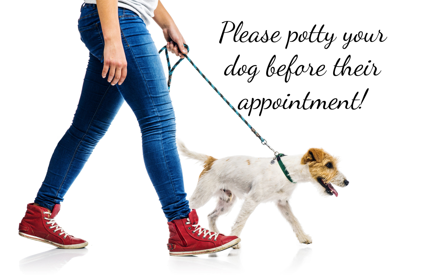Potty your dog before arrival